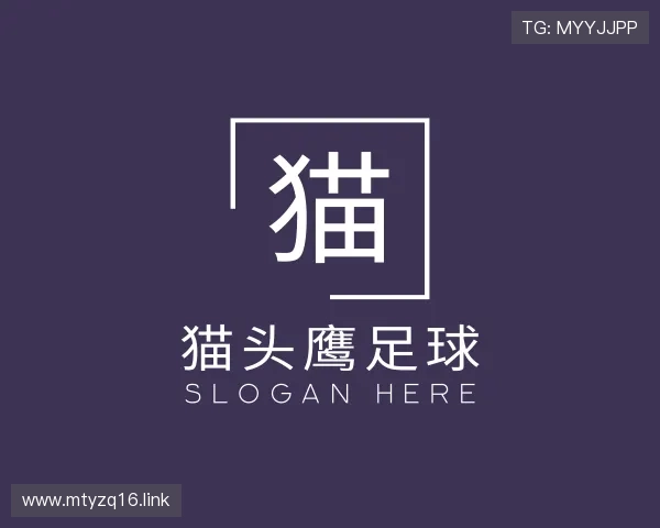 导引猫头鹰足球